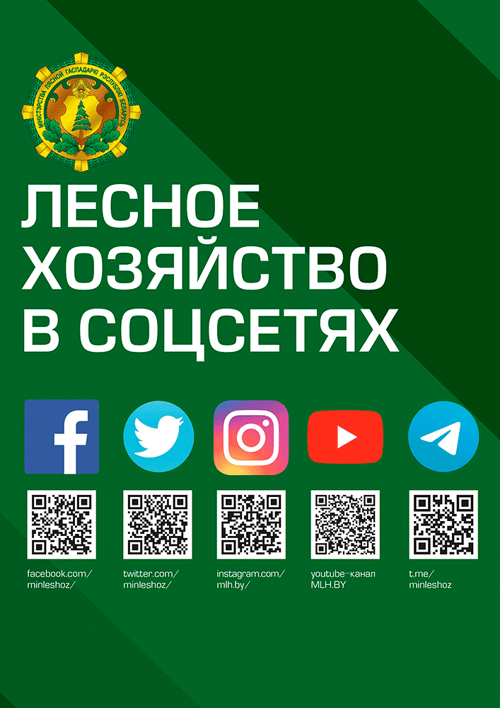 Минлесхоз в соцсетях 
